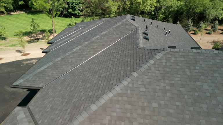 Best Roof Moss and Algae Removal  in Globe, AZ