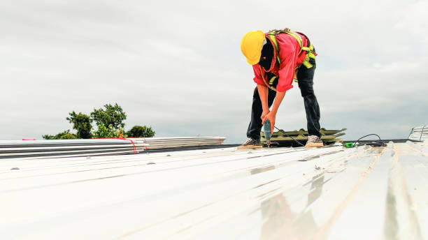 Best Skylight Installation and Repair  in Globe, AZ