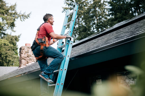 Best Roof Coating and Sealing  in Globe, AZ